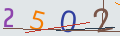 verifycode